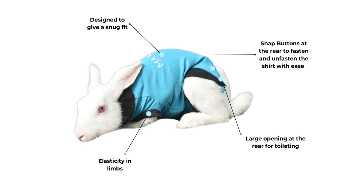 Recovery Rabbit MAXX RABBIT RECOVERY SUIT – MAXX PET