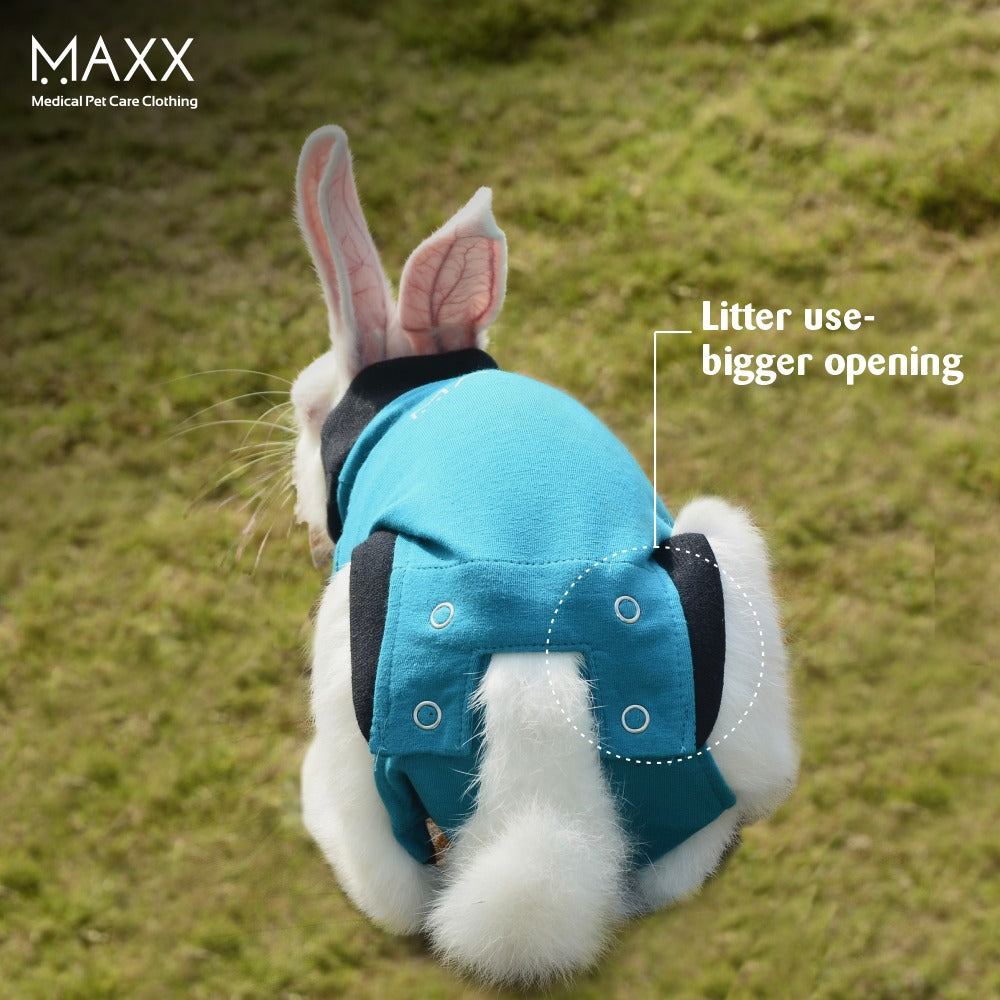 MAXX RABBIT RECOVERY SUIT – MAXX PET