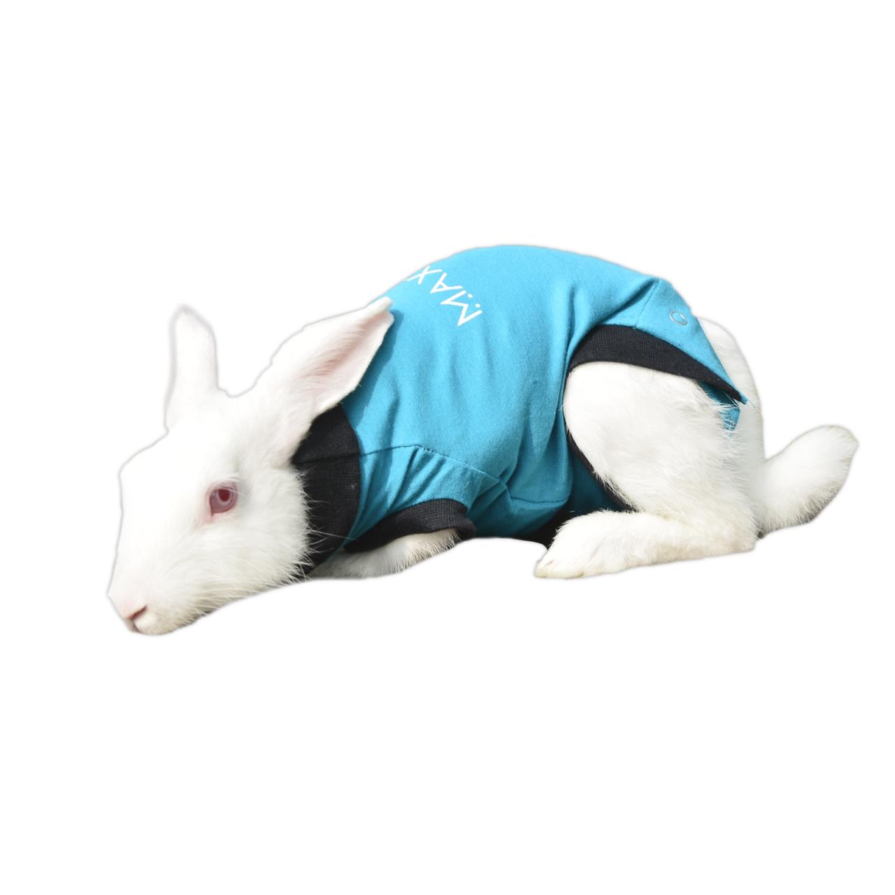 MAXX RABBIT RECOVERY SUIT – MAXX PET